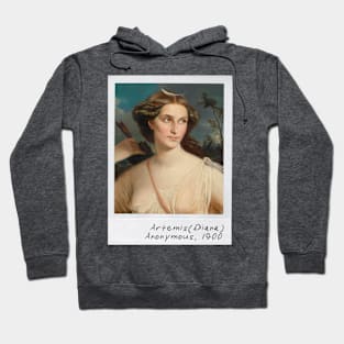 artemis, goddess of the hunt Hoodie